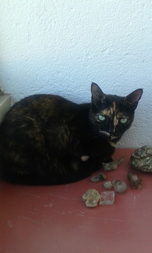 A Matilde sabe bem o que a ajuda a atravessar os momentos mais difíceis.