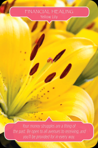 Finance Healing_Yellow Lily