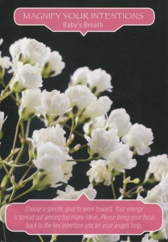 magnify-your-intentions