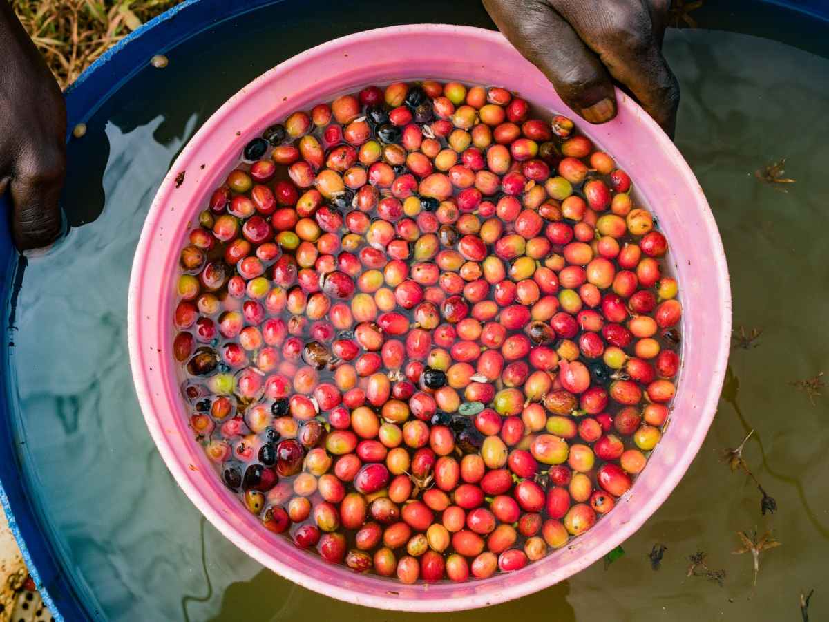 Porque é que a Vida se tornou tão&nbsp;difícil?
