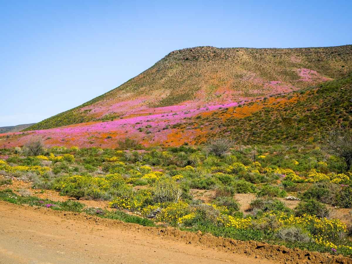 Procurar a nossa Beleza&nbsp;Interior